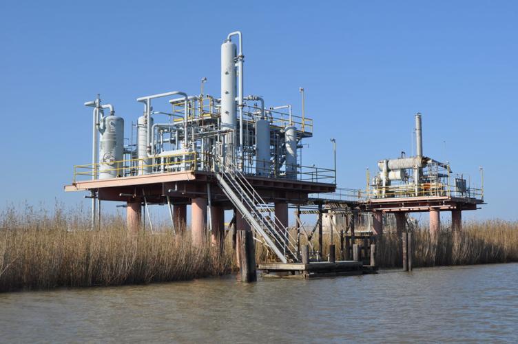 Emergency quarantine declared for pest that's decimating Louisiana wetlands