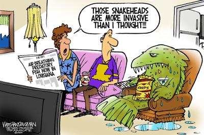Walt Handelsman: Snakehead fish in Louisiana!
